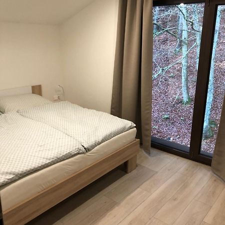Tale Apartman 9, Lucnica, Chopok Juh ภายนอก รูปภาพ