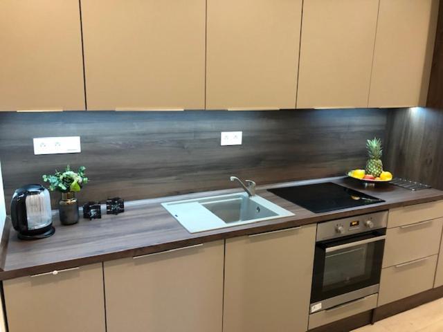 Tale Apartman 9, Lucnica, Chopok Juh ภายนอก รูปภาพ